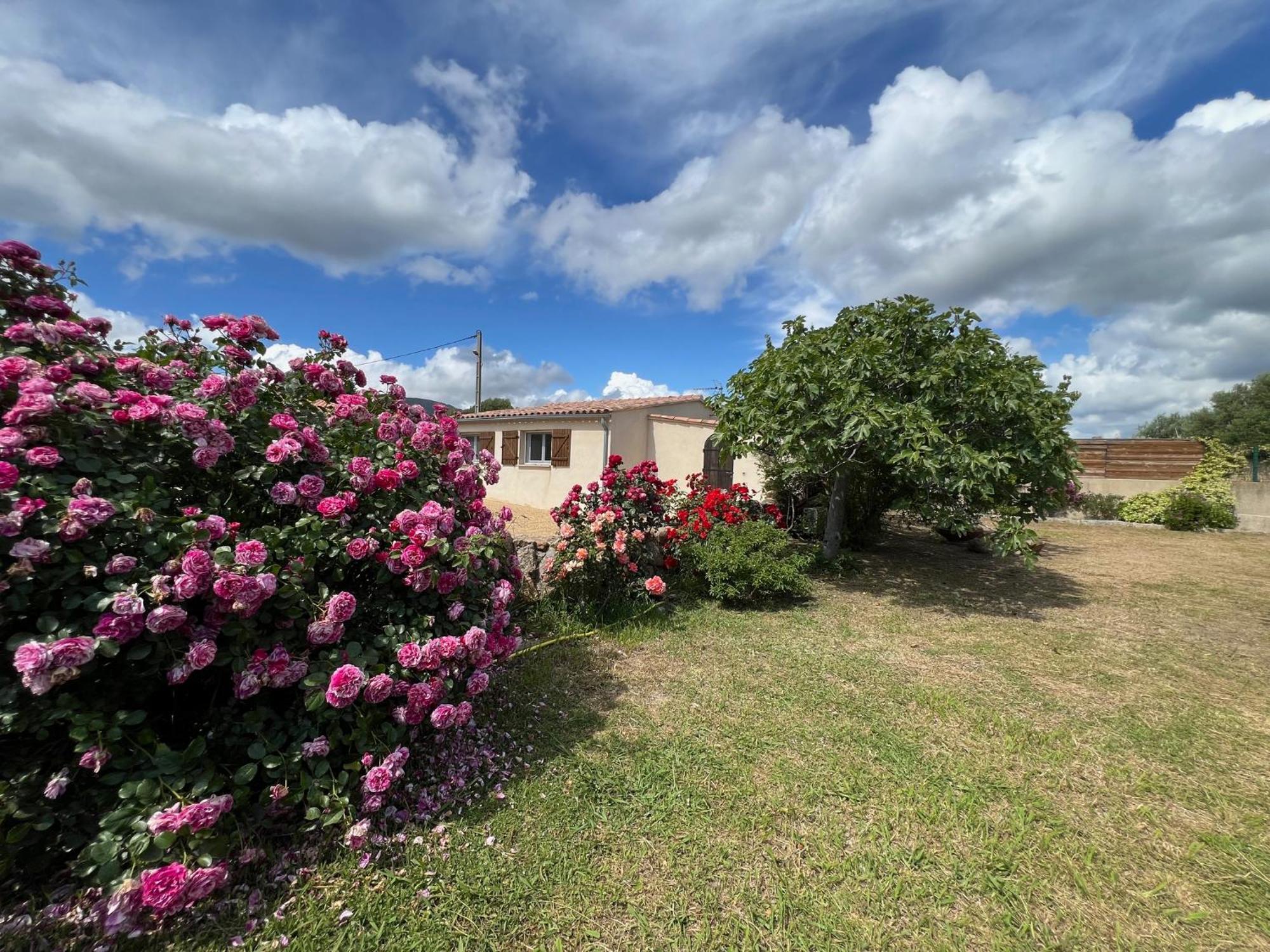 Residence Casa Favalella Porto Pollo Kültér fotó